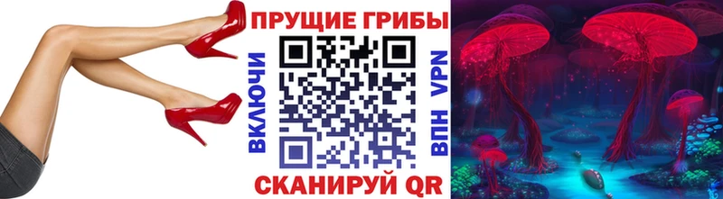 OMG tor  купить наркоту  Покачи  Галлюциногенные грибы прущие грибы 